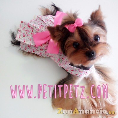 Mochila Transportin para chihuahuas yorkshire cachorros